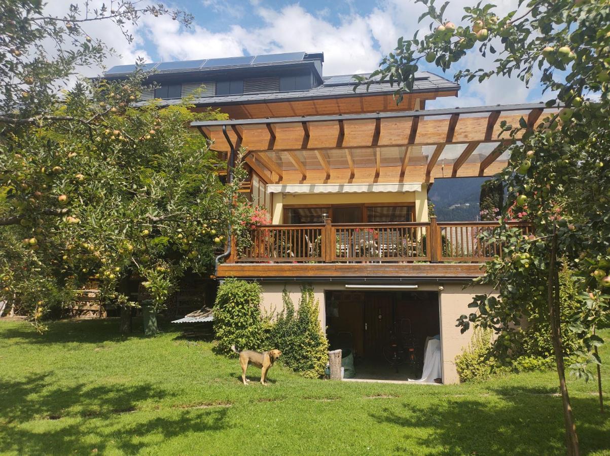 Family- Home Alpenblick Dellach im Drautal Exteriér fotografie